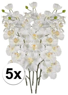 Bellatio Flowers & Plants Kunstbloem - 5x - Orchidee - op tak - 100 cm - wit - sier - decoratie bloemen