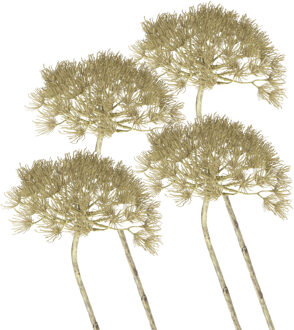 Bellatio Flowers & Plants Kunstbloem Berenklauw/Heracleum - Set van 4x stuks - 80 cm - Kunstbloemen boeketten - kunsttak