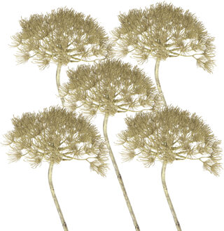 Bellatio Flowers & Plants Kunstbloem Berenklauw/Heracleum - Set van 5x stuks - 80 cm - Kunstbloemen boeketten - kunsttak