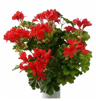 Bellatio Flowers & Plants Kunstbloemen boeketje Oostenrijkse geranium - Set van 5x stuks - rood - 40 cm