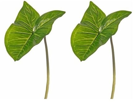 Bellatio Flowers & Plants Kunstplant - 2x - tak - bladgroen - Aronskelkblad - 53 cm