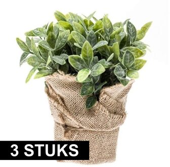 Bellatio Flowers & Plants Kunstplant - 3x - Munt Kruiden - Groen - In Jute Pot - 19 cm