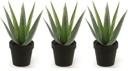 Bellatio Flowers & Plants Kunstplant Aloe Vera - 3x - groen - in zwarte pot - 23 cm