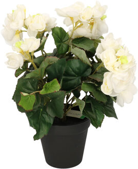 Bellatio Flowers & Plants Kunstplant Begonia wit 30 cm