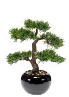 Bellatio Flowers & Plants Kunstplant - Bonsai Boom - Cedar - In Zwarte Pot - 16 cm Groen