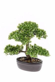 Bellatio Flowers & Plants Kunstplant Bonsai - Ficus boompje - 32 cm