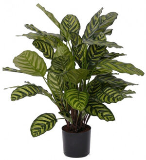 Bellatio Flowers & Plants Kunstplant Calathea Makoyana - voor binnen - kunst kamerplant - 67 cm