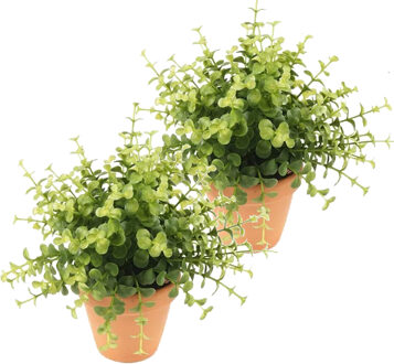 Bellatio Flowers & Plants Kunstplant eucalyptus - 2x - groen - in terracotta pot - 20 cm