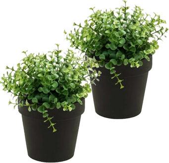 Bellatio Flowers & Plants Kunstplant eucalyptus - 2x - groen - in zwart potje - 20 cm - Kunstplanten