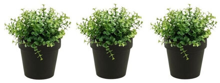 Bellatio Flowers & Plants Kunstplant eucalyptus - Set van 3x stuks - groen - in zwart potje - 20 cm
