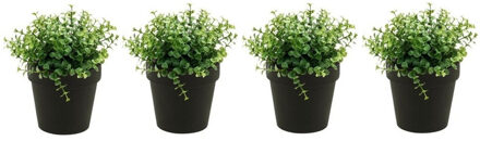 Bellatio Flowers & Plants Kunstplant eucalyptus - Set van 4x stuks - groen - in zwart potje - 20 cm