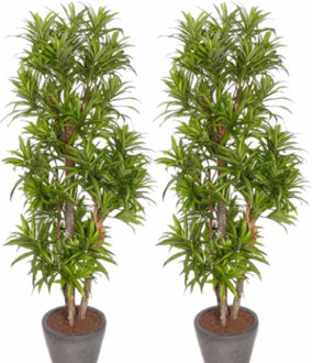 Bellatio Flowers & Plants Kunstplant Groene Dracaena reflexa - 2x - H120 cm - voor binnen - nepplant - binnenplant