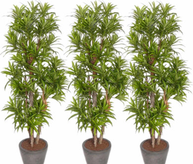 Bellatio Flowers & Plants Kunstplant Groene Dracaena reflexa - 3x - H120 cm - voor binnen - nepplant - binnenplant