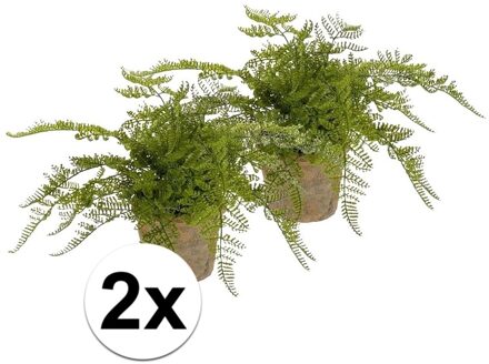 Bellatio Flowers & Plants Kunstplant herfst Varen - 2x - groen - H30 cm - in pot - nepplant - kamerplant