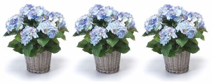 Bellatio Flowers & Plants Kunstplant Hortensia bloemen in mand - 3x - Blauw - H45 cm - Kunstplanten/nepplanten met bloemen