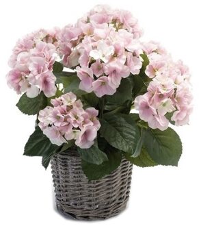 Bellatio Flowers & Plants Kunstplant Hortensia bloemen in mand - Roze - H45 cm - Kunstplanten/nepplanten met bloemen