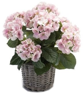 Bellatio Flowers & Plants Kunstplant Hortensia roze in rieten mand 45 cm