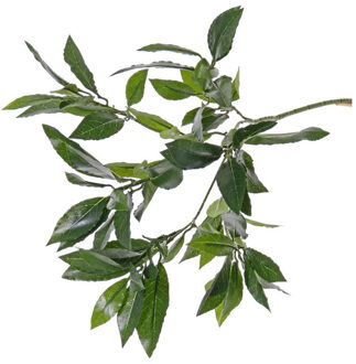 Bellatio Flowers & Plants Kunstplant laurierblad - Kunsttakken -?groen - 48 cm