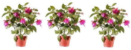 Bellatio Flowers & Plants kunstplant met bloemen - 3x - fuchsia roze - 30 cm - binnen