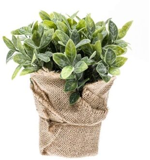 Bellatio Flowers & Plants Kunstplant - Munt Kruiden - Groen - In Jute Pot - 19 cm