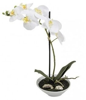 Bellatio Flowers & Plants Kunstplant Orchidee in pot 38 cm wit - Kunstplanten Multikleur