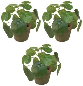 Bellatio Flowers & Plants Kunstplant pilea/pannekoekplant - 3x - mini - groen - in pot - 13 cm