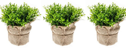 Bellatio Flowers & Plants Kunstplant tuinkers in jute pot - 3x - groene kruiden plantjes - 16 cm