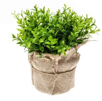 Bellatio Flowers & Plants Kunstplant tuinkers kruiden groen in jute pot 16 cm