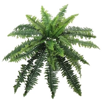 Bellatio Flowers & Plants Kunstplant varen - groen - kunst kamerplant - 28 cm