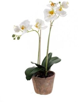 Bellatio Flowers & Plants Kunstplanten Orchidee wit 42 cm in pot