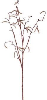 Bellatio Flowers & Plants Kunsttak - berkenkatjes - 66 cm - betula pendula - decoratie takken Bruin