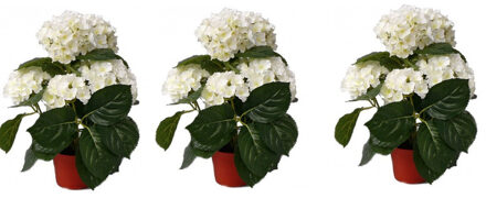 Bellatio Flowers & Plants Mooie kunstplant met bloemen - 3x stuks - Hortensia - wit - H36 cm - Dia 10 cm