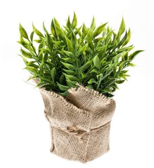 Bellatio Flowers & Plants Nep muizendoorn kruiden plant groen in jute pot kunstplant