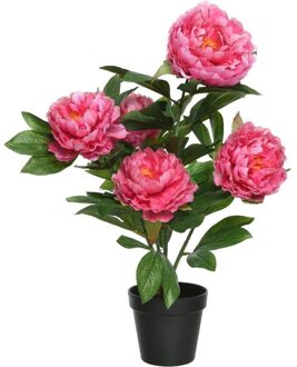 Bellatio Flowers & Plants Roze Paeonia/pioenrozen struik kunstplant 57 cm in pot
