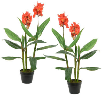 Bellatio Flowers & Plants Set van 2x stuks Canna Bloemriet nepplanten/planten 89 cm met zwarte pot - Kunstplanten Oranje