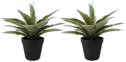Bellatio Flowers & Plants Set van 2x stuks kunstplanten Agave grijs/groen in zwarte pot 19 cm
