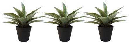 Bellatio Flowers & Plants Set van 3x stuks kunstplanten Agave grijs/groen in zwarte pot 19 cm