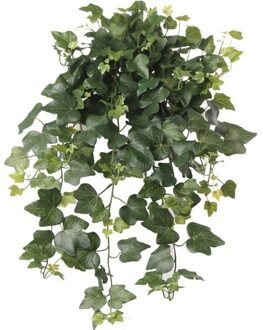 Bellatio Flowers & Plants Tuinplant Hedera Helix klimop groen 65 cm UV-bestendig
