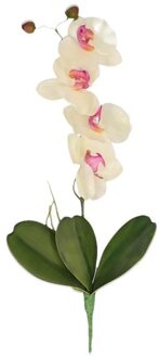 Bellatio Flowers & Plants Wit/Roze Orchidee/Phalaenopsis kunstplant takken 44 cm voor binnen