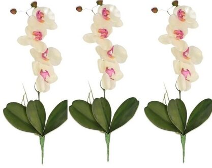Bellatio Flowers & Plants Wit/Roze Orchidee/Phalaenopsis kunstplant takken 44 cm voor binnen