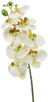 Bellatio Flowers & Plants Witte Phaleanopsis vlinderorchidee kunstbloemen 70 cm decoratie - Kunstbloemen