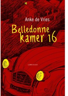 Belledone kamer 16 - Boek Anke Vries (9047708288)