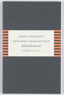 Beminde ongelovigen - Boek Anne Provoost (9021434008)