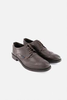 Ben Sherman Heren Patrick Brogues Diverse kleuren 5057422003824 Bruin - EU 47.5 / UK 12
