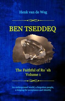 Ben Tseddeq - Henk van de Weg - ebook