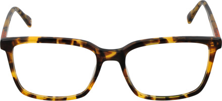 Benetton Optisch montuur BEO109 103 55 Bruin - One Size