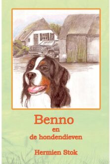 Benno en de hondendieven - Boek Hermien Stok (9081320181)