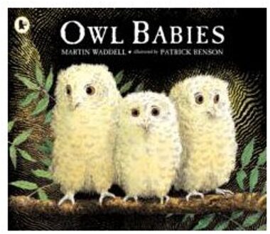 Benson Owl Babies