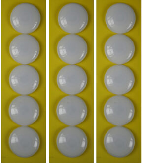 Benson ronde koelkast / whiteboard magneetjes - 15x stuks - wit - Keuken magneten