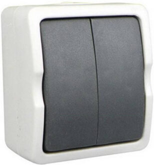 Benson Schakelaar - dubbel - opbouw - IP54 - 250V - 10A - spatwaterdicht - buiten